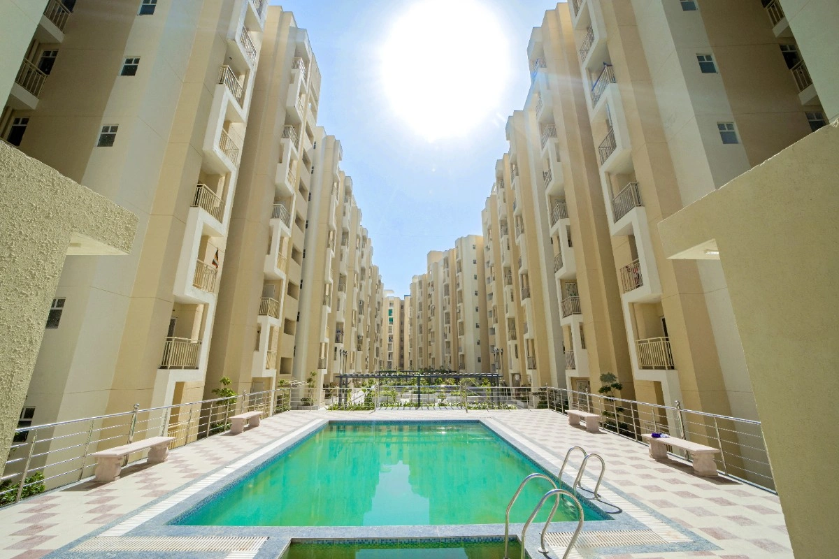img-flat
